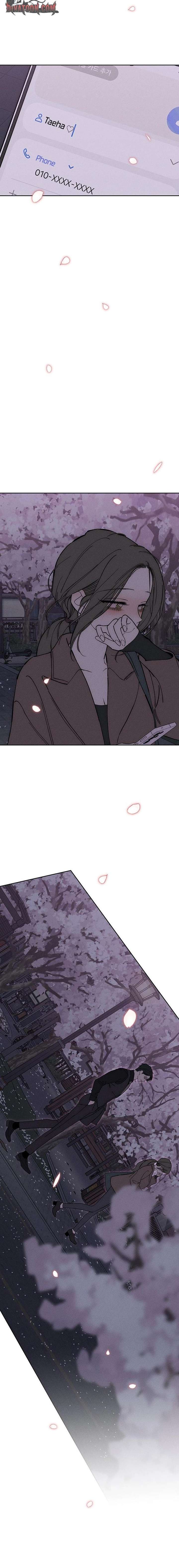 Tears On A Withered Flower Chapter 96 image 16